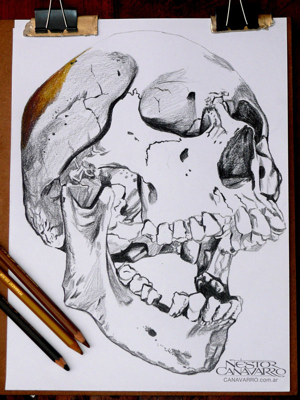 skull-canavarro-